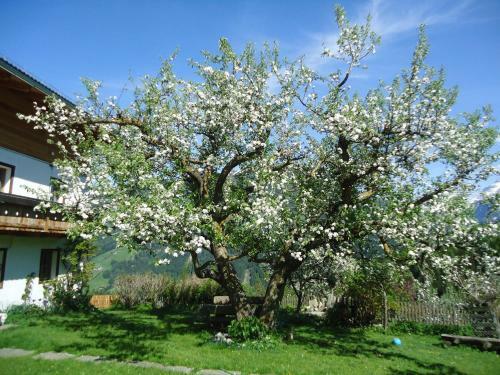 Agroturismo Oberschoellberghof