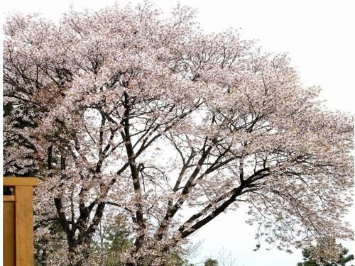 Hakone Kyuan