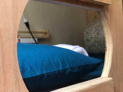 Albergue Whole Family - Wholeville