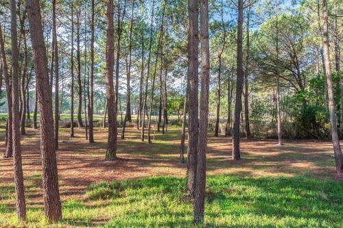 Apartamento Guestready - Garden House In Costa Da Caparica