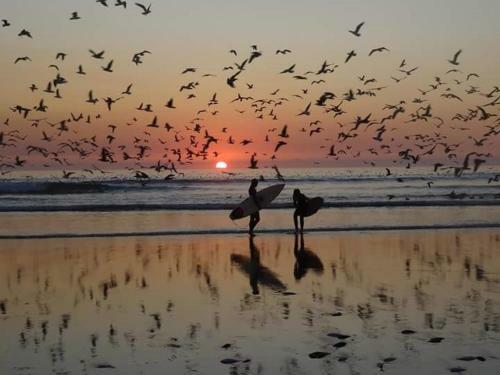 Apartamento Belavista Mar E Sol - Caparica