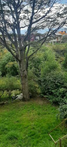 Apartamento Vista A La Monta�a