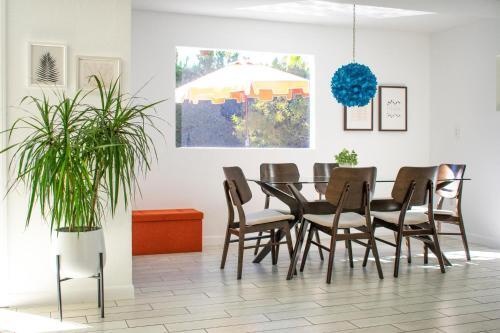 Mid - Century Oasis