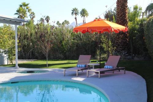 Mid - Century Oasis