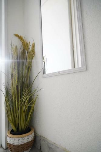 Apartamento Mediterr�neo Alquiler Temporal
