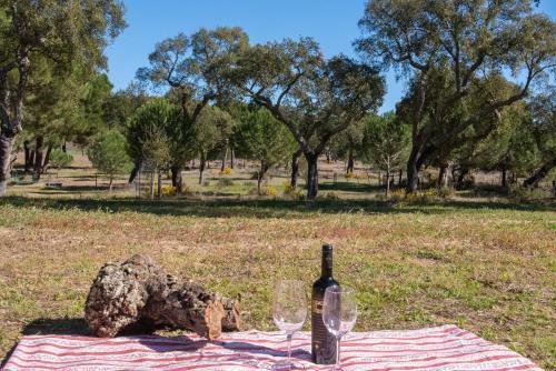 Agroturismo Herdade Das Onzenas De Cima
