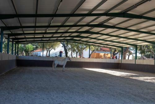 Agroturismo Herdade Das Onzenas De Cima