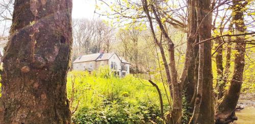 Bed & Breakfast Kingsley Cottage B & B