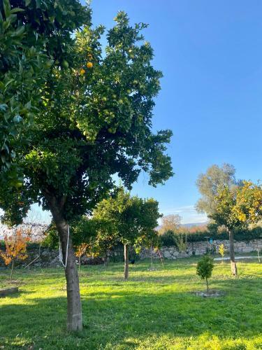 Bed & Breakfast Quinta De Areias