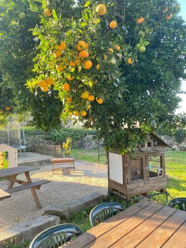 Bed & Breakfast Quinta De Areias