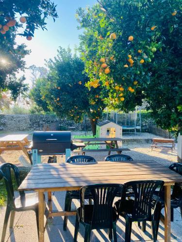 Apartment Quinta De Areias