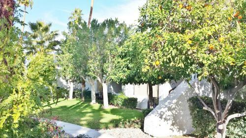 Apartamento Palm Canyon Villas