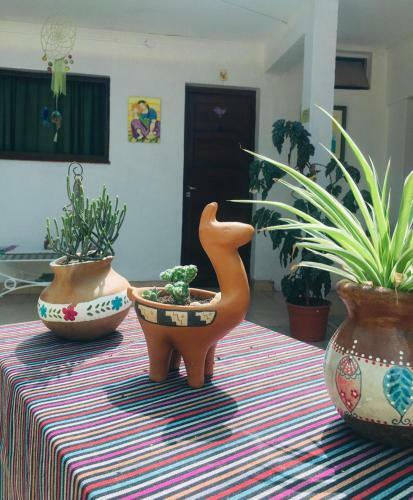 Albergue Huaka Hostal