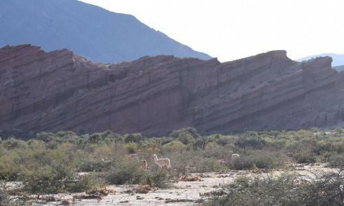Apartamento Bella Vista - Cafayate