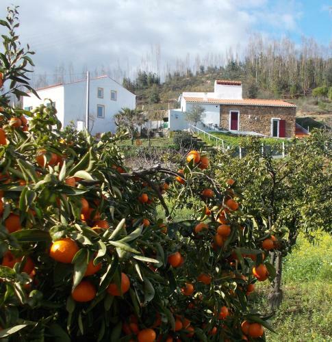 Agroturismo Casas de Campo de Vale de Junco