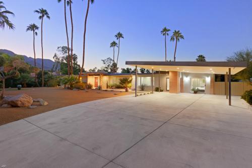 Modern Palms
