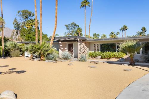 Modern Palms