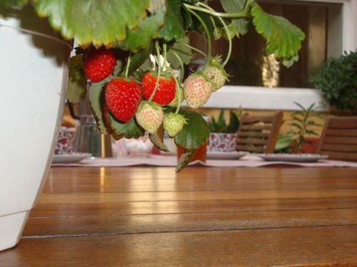 Hostal Bed And Breakfast Au Soleil