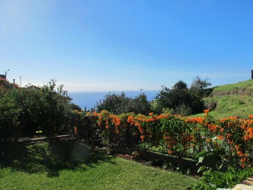 Madeira Wine Cottages