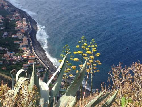 Madeira Wine Cottages