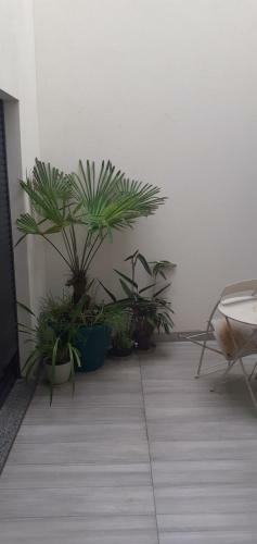 Apartamento Appartement Espinho