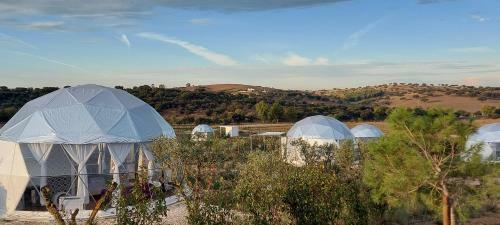 Glamping Skies