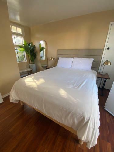 Apartamento Dolphin Inn Vacation Rentals