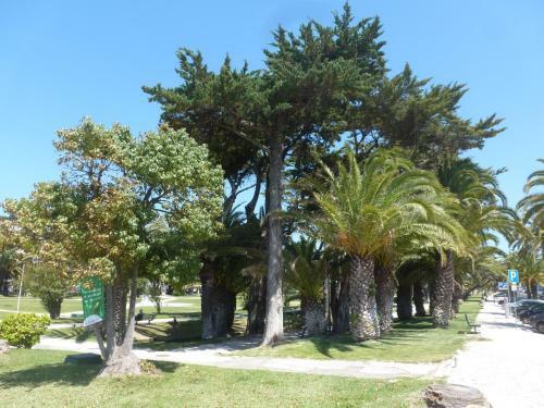 Apartamento Cascais/estoril Beachfront Apts