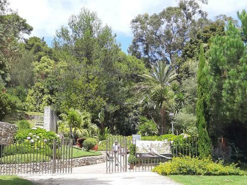 Apartamento Cascais/estoril Beachfront Apts