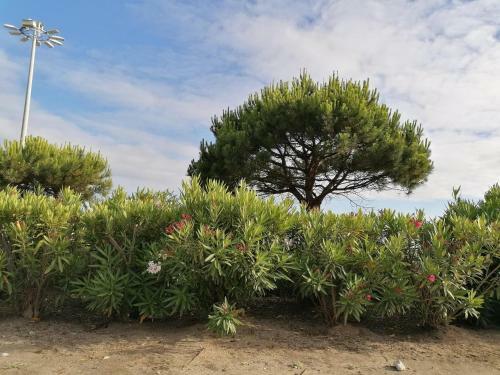 Dufi Estoril Apart Beach