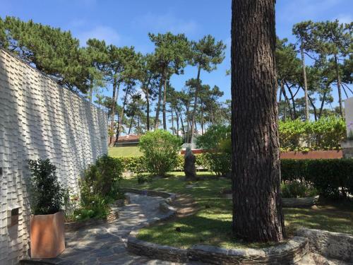 Ofir Beach House Bonan�a