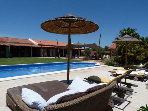 Trendy And Luxe Bed & Breakfast