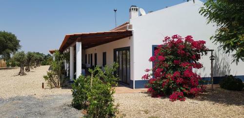 Trendy And Luxe Bed & Breakfast