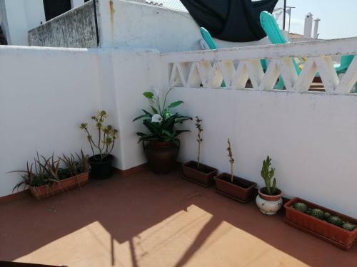 Hostal The Aqueduct Guesthouse