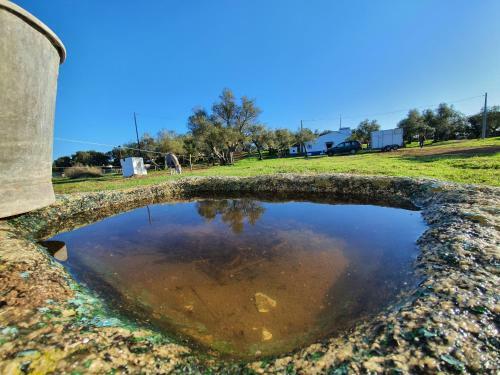 Agroturismo Monte Das Cobras - Country House