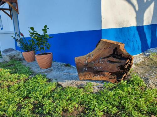 Agroturismo Monte Das Cobras - Country House