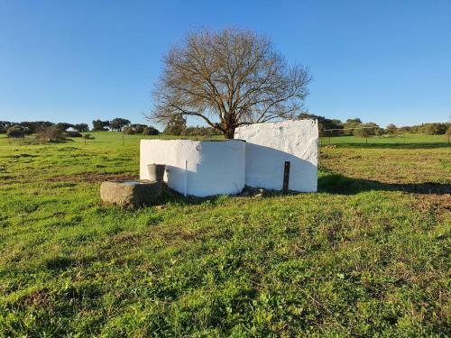 Agroturismo Monte Das Cobras - Country House