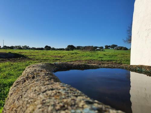 Agroturismo Monte Das Cobras - Country House