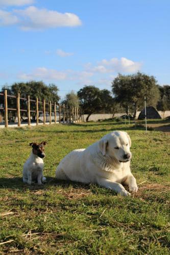 Agroturismo Monte Das Cobras - Country House