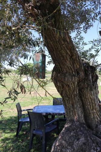 Agroturismo Monte Das Cobras - Country House