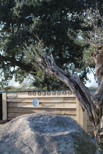 Agroturismo Monte Das Cobras - Country House