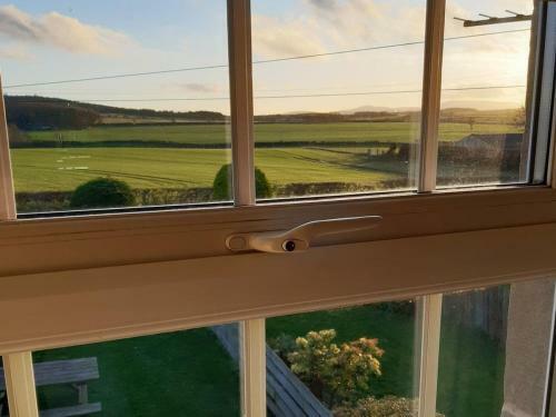 Cheviot View