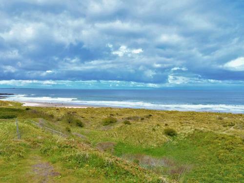 Sanderling End