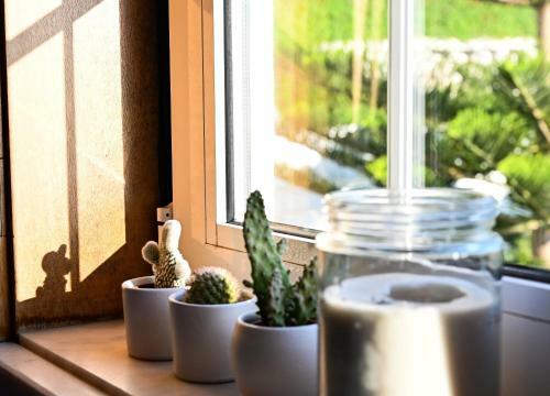 Bed & Breakfast Surf Lodge - Villa Dos Irm�os