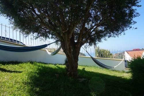 Bed & Breakfast Surf Lodge - Villa Dos Irm�os