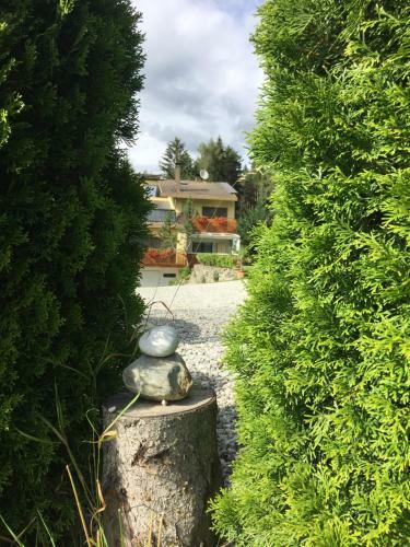 Bed & Breakfast Haus Lasaun