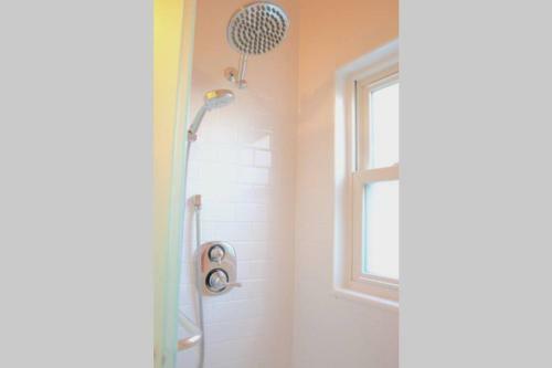 Stunning 2 Bdr W/ Rooftop Deck! Hillcrest/north P