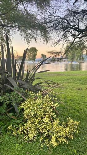Apartamento Frente Al Lago Y Veleros �nico