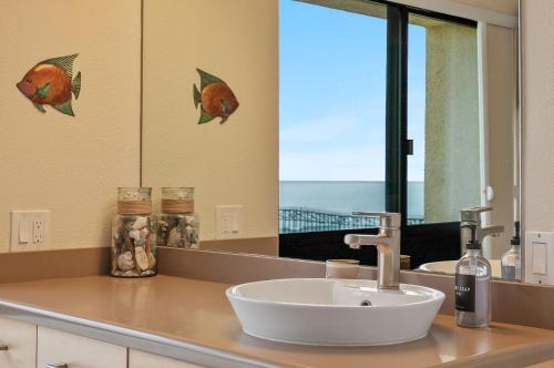 Pb Paradise & Ocean Sanctuary
