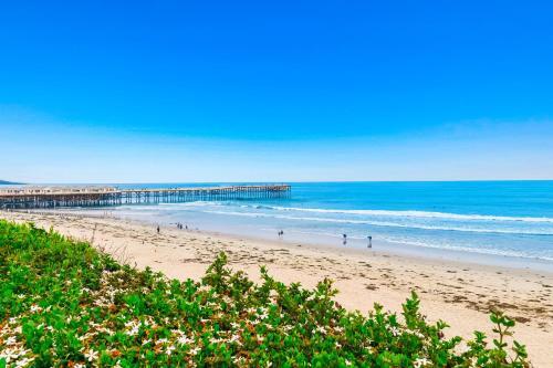 Pb Paradise & Ocean Sanctuary